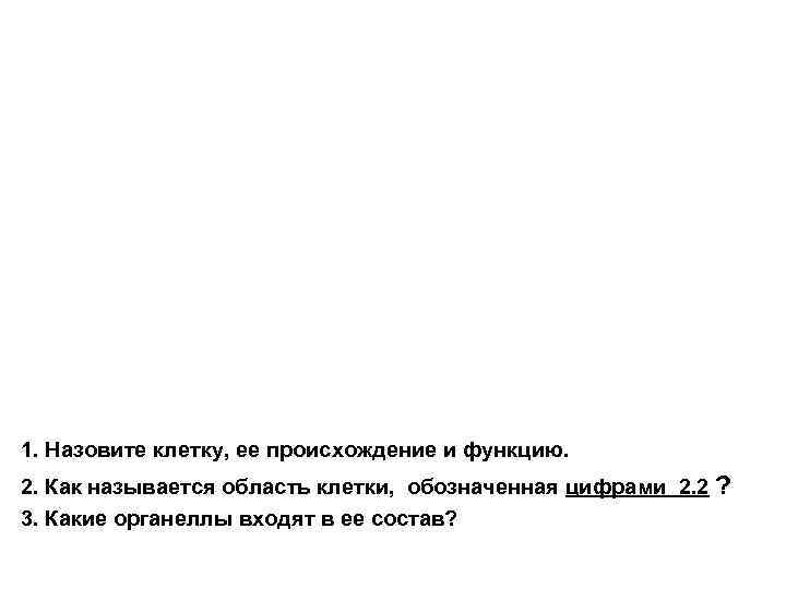 1. Назовите клетку, ее происхождение и функцию. 2. Как называется область клетки, обозначенная цифрами