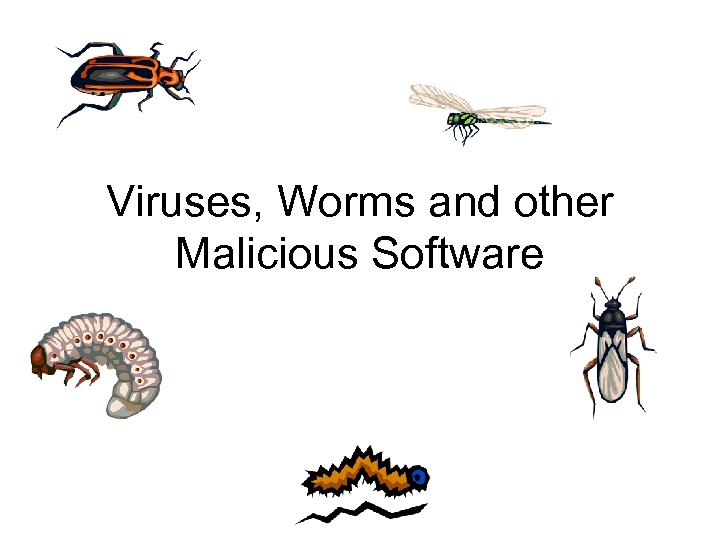 Viruses, Worms and other Malicious Software 