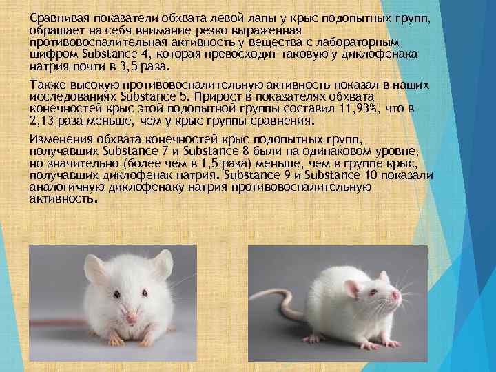 Сравнивая показатели обхвата левой лапы у крыс подопытных групп, обращает на себя внимание резко