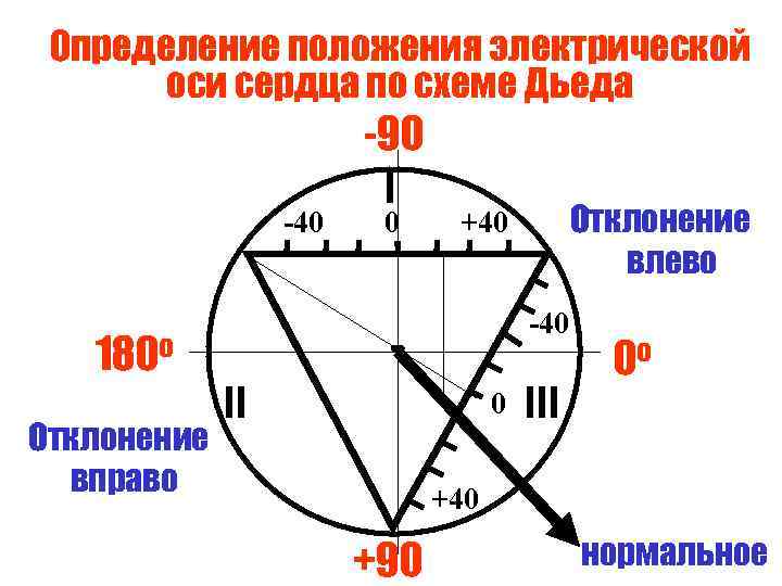 Ось определение. Электрическая ось сердца 40 град. Электрическая ось сердца схема. Графический метод определения оси сердца. Электрическая ось сердца физиология.