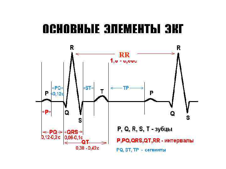 ОСНОВНЫЕ ЭЛЕМЕНТЫ ЭКГ RR 