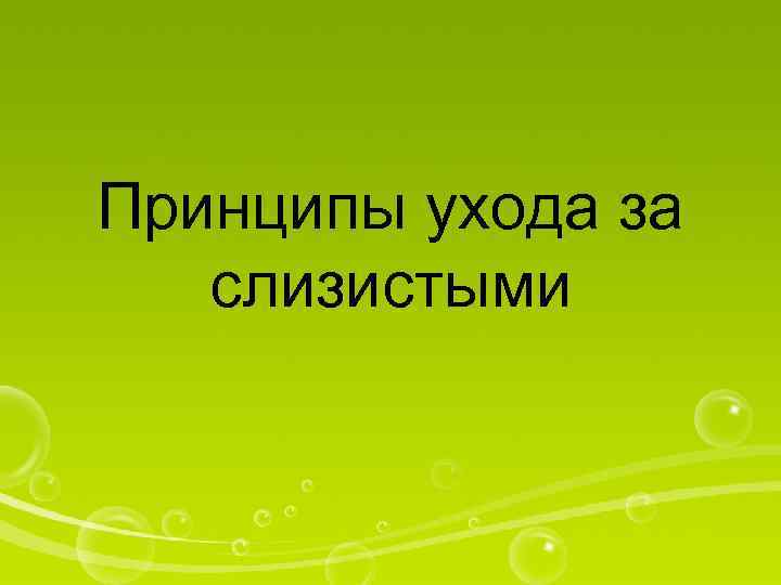 Принципы ухода за слизистыми 