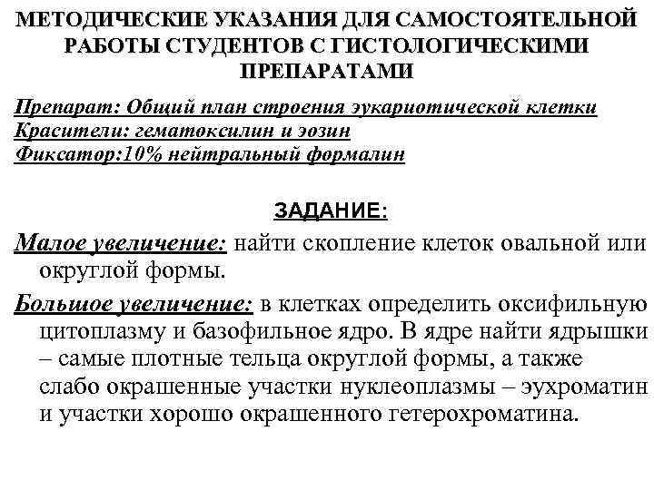МЕТОДИЧЕСКИЕ УКАЗАНИЯ ДЛЯ САМОСТОЯТЕЛЬНОЙ РАБОТЫ СТУДЕНТОВ С ГИСТОЛОГИЧЕСКИМИ ПРЕПАРАТАМИ Препарат: Общий план строения эукариотической