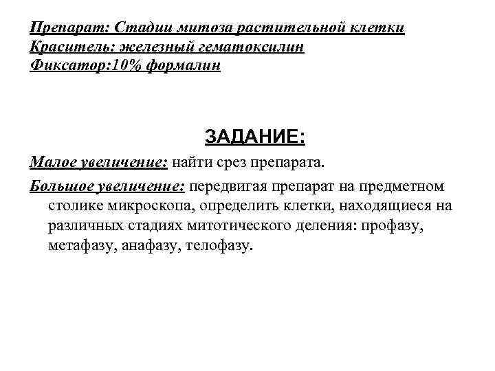 Препарат: Стадии митоза растительной клетки Краситель: железный гематоксилин Фиксатор: 10% формалин ЗАДАНИЕ: Малое увеличение: