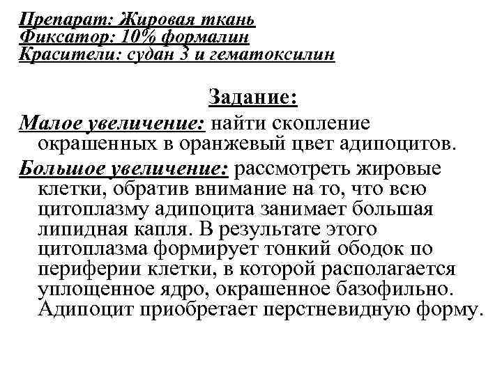 Препарат: Жировая ткань Фиксатор: 10% формалин Красители: судан 3 и гематоксилин Задание: Малое увеличение: