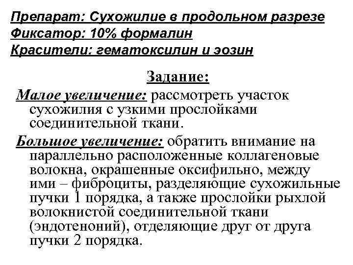 Препарат: Сухожилие в продольном разрезе Фиксатор: 10% формалин Красители: гематоксилин и эозин Задание: Малое