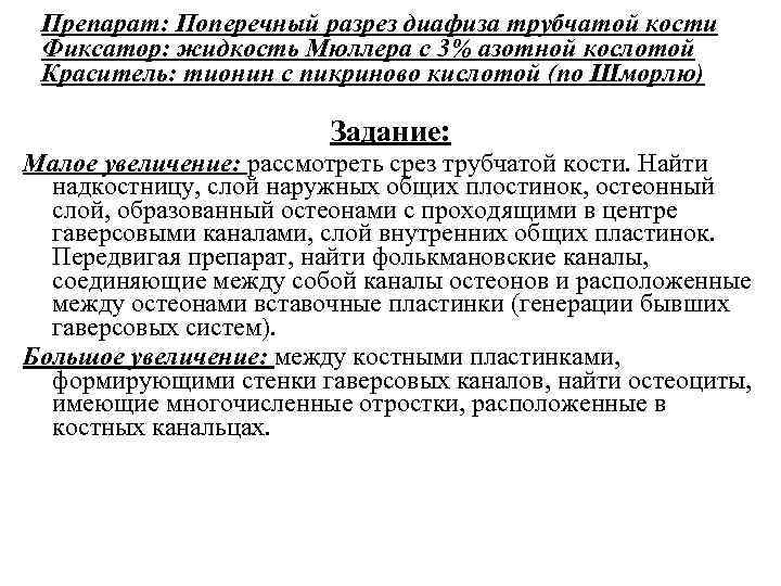 Препарат: Поперечный разрез диафиза трубчатой кости Фиксатор: жидкость Мюллера с 3% азотной кослотой Краситель: