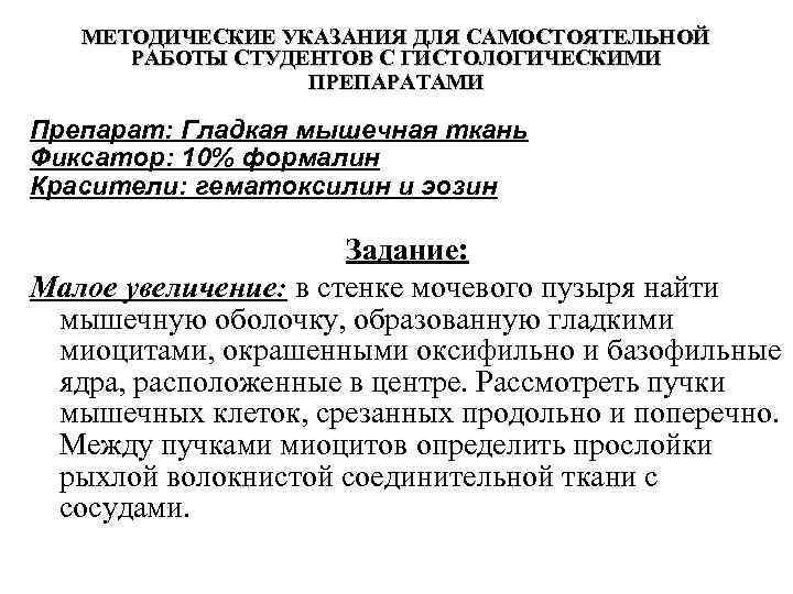 МЕТОДИЧЕСКИЕ УКАЗАНИЯ ДЛЯ САМОСТОЯТЕЛЬНОЙ РАБОТЫ СТУДЕНТОВ С ГИСТОЛОГИЧЕСКИМИ ПРЕПАРАТАМИ Препарат: Гладкая мышечная ткань Фиксатор: