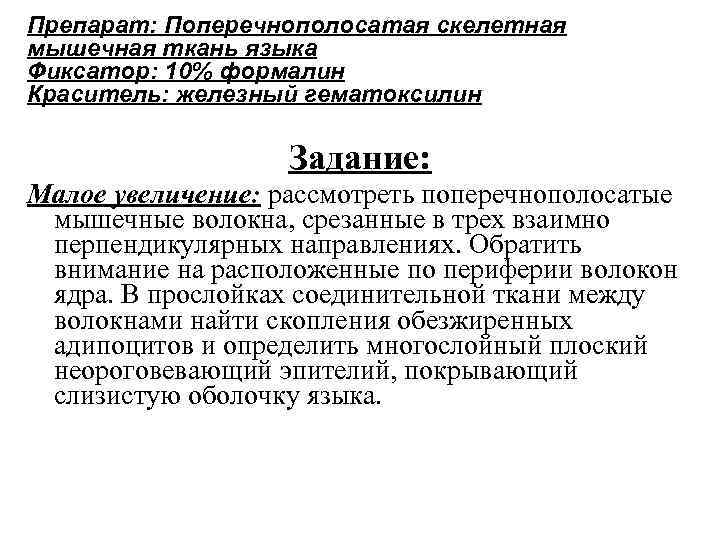 Препарат: Поперечнополосатая скелетная мышечная ткань языка Фиксатор: 10% формалин Краситель: железный гематоксилин Задание: Малое