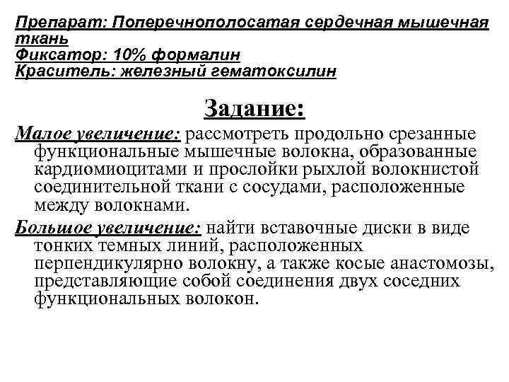 Препарат: Поперечнополосатая сердечная мышечная ткань Фиксатор: 10% формалин Краситель: железный гематоксилин Задание: Малое увеличение: