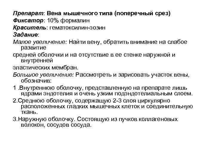 Препарат: Вена мышечного типа (поперечный срез) Фиксатор: 10% формалин Краситель: гематоксилин-эозин Задание: Малое увеличение: