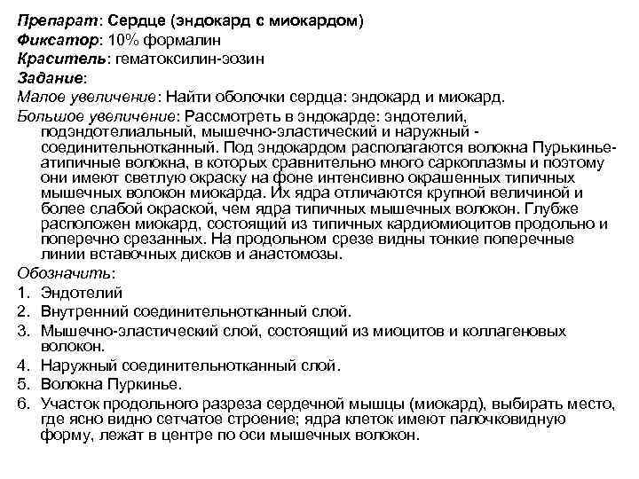 Препарат: Сердце (эндокард с миокардом) Фиксатор: 10% формалин Краситель: гематоксилин-эозин Задание: Малое увеличение: Найти