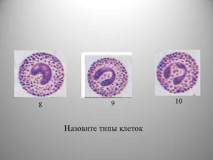 8 9 Назовите типы клеток 10 