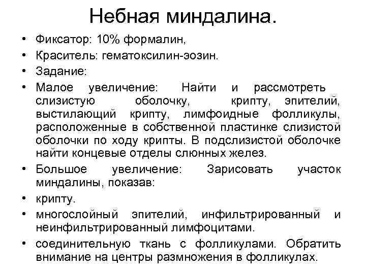 Небная миндалина. • • Фиксатор: 10% формалин, Краситель: гематоксилин-эозин. Задание: Малое увеличение: Найти и