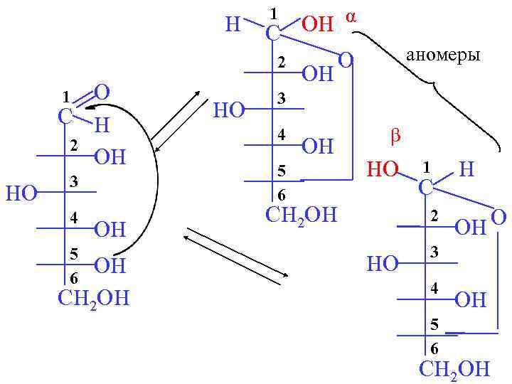 H O C H 2 OH 1 HO 3 4 5 6 OH OH