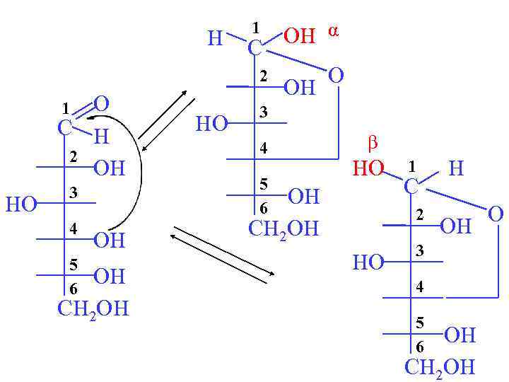 H 1 C 2 O C H 2 OH 1 HO 3 4 5