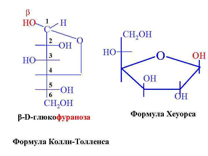 β HO 1 C 2 HO H OH CH 2 OH O 3 HO