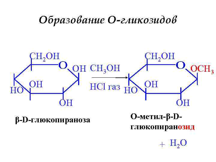 Образование O-гликозидов CH 2 OH HO OH CH 3 OH OH CH 2 OH