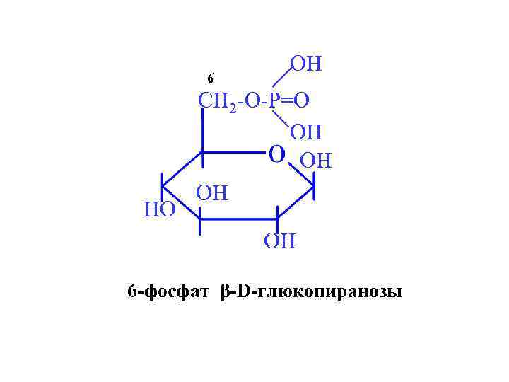 6 HO OH CH 2 -O-P=O OH OH 6 -фосфат β-D-глюкопиранозы 