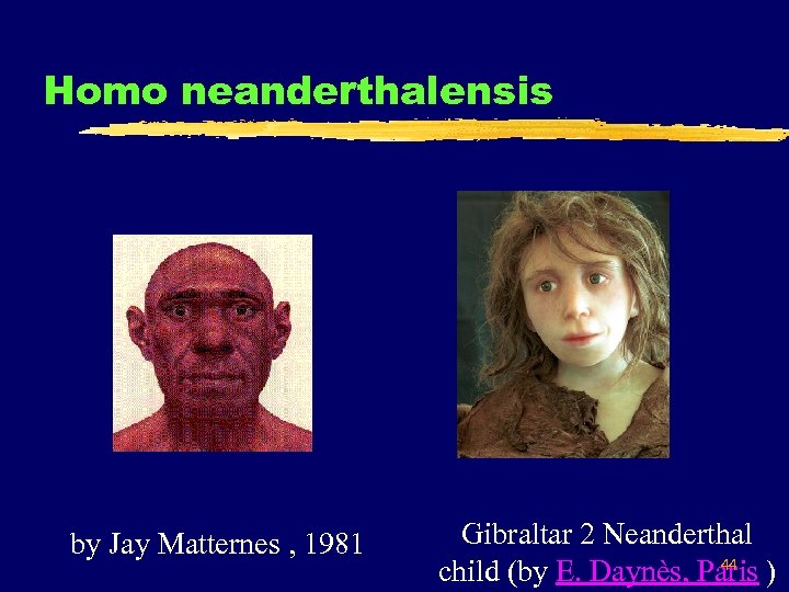 Homo neanderthalensis by Jay Matternes , 1981 Gibraltar 2 Neanderthal 44 child (by E.