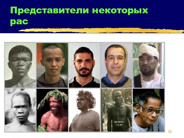 Представители некоторых рас 55 
