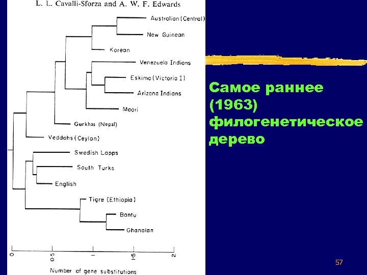 Самое раннее (1963) филогенетическое дерево 57 