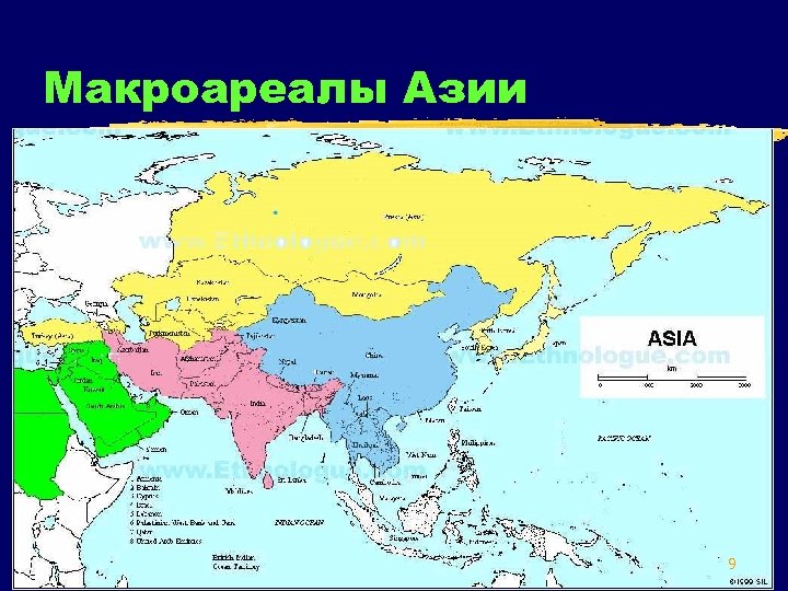 Макроареалы Азии 9 