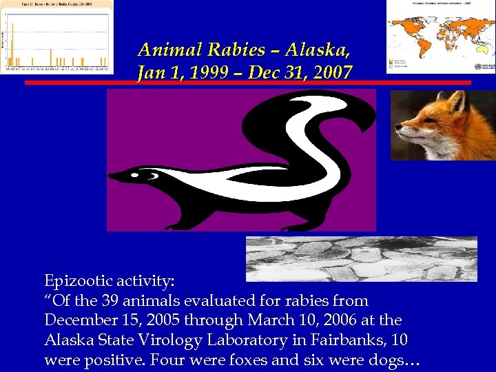 Animal Rabies – Alaska, Jan 1, 1999 – Dec 31, 2007 Epizootic activity: “Of