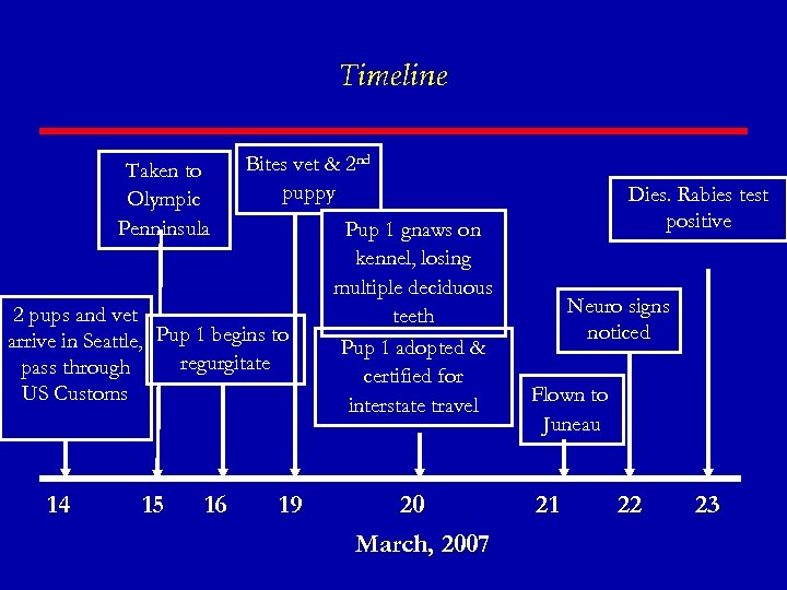 Timeline Taken to Olympic Penninsula Bites vet & 2 nd puppy 2 pups and