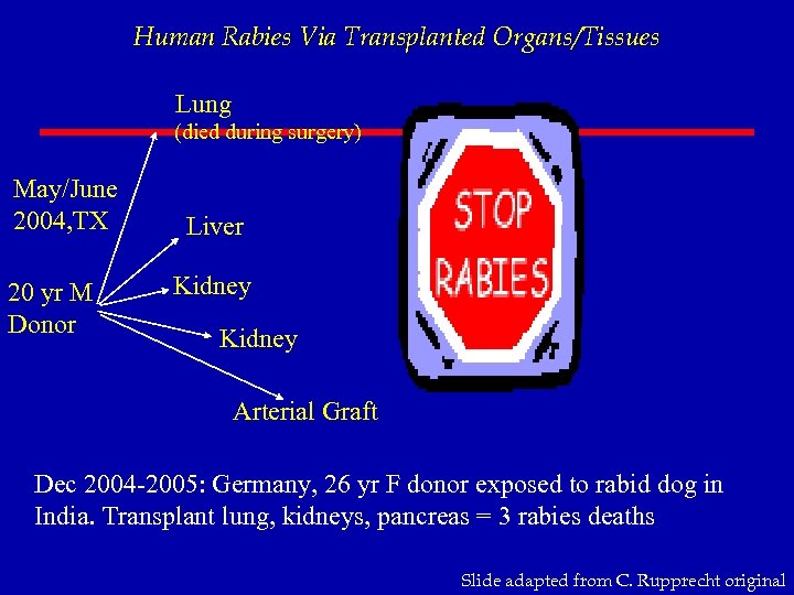 Human Rabies Via Transplanted Organs/Tissues Lung (died during surgery) May/June 2004, TX 20 yr