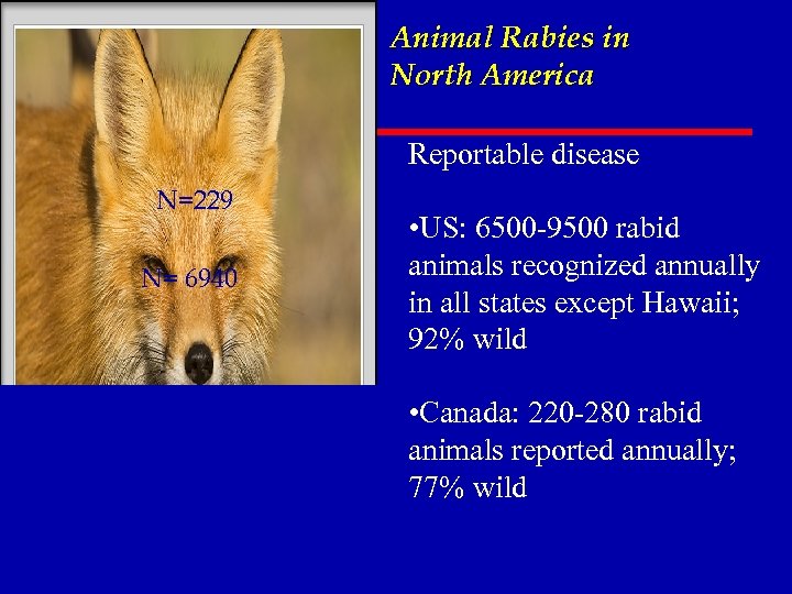 Animal Rabies in North America Reportable disease N=229 N= 6940 • US: 6500 -9500