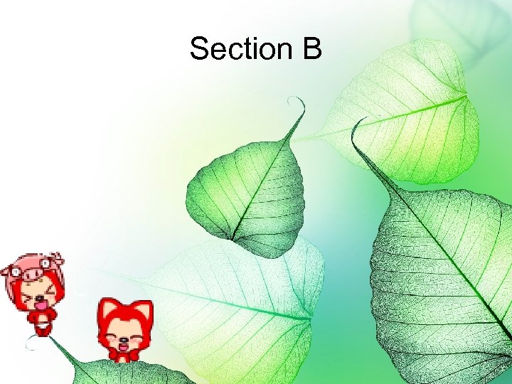 Section B 
