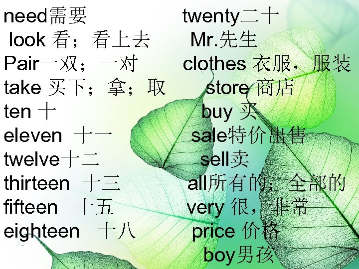 need需要 twenty二十 look 看；看上去 Mr. 先生 Pair一双；一对 clothes 衣服，服装 take 买下；拿；取 store 商店 ten