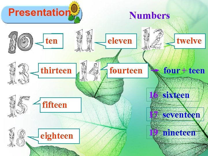 Presentation ten thirteen fifteen eighteen Numbers eleven twelve fourteen → four + teen 16