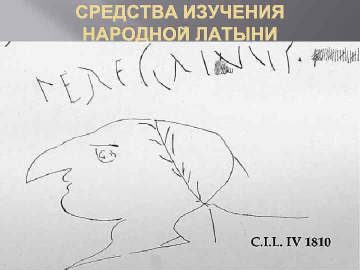 СРЕДСТВА ИЗУЧЕНИЯ НАРОДНОЙ ЛАТЫНИ 