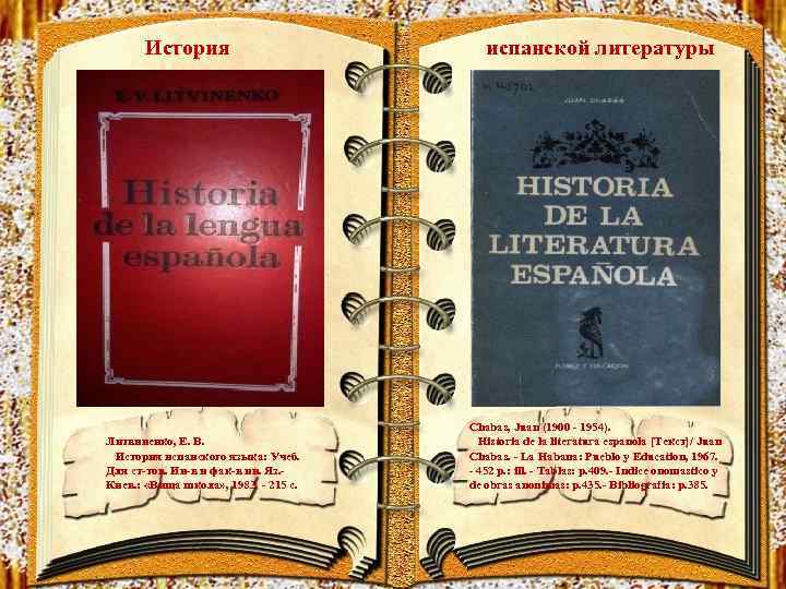 История Литвиненко, Е. В. История испанского языка: Учеб. Для ст-тов. Ин-в и фак-в ин.