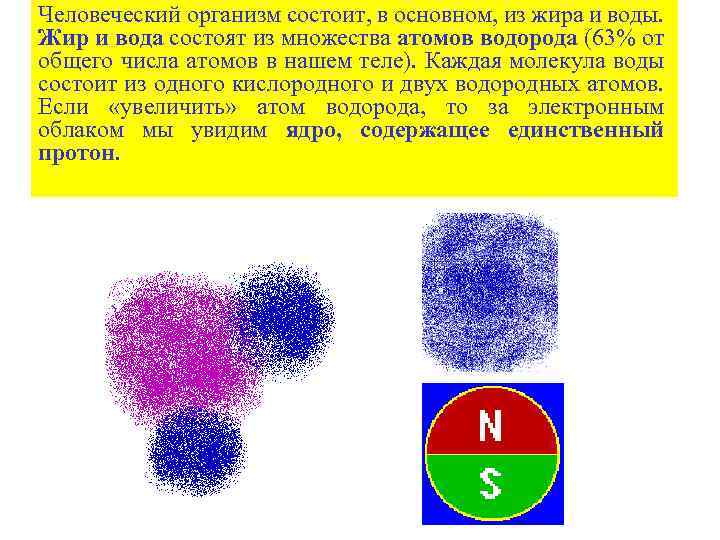 Состоит ли