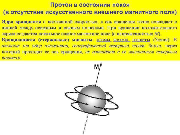 Протон в состоянии покоя (в отсутствие искусственного внешнего магнитного поля) Ядра вращаются с постоянной