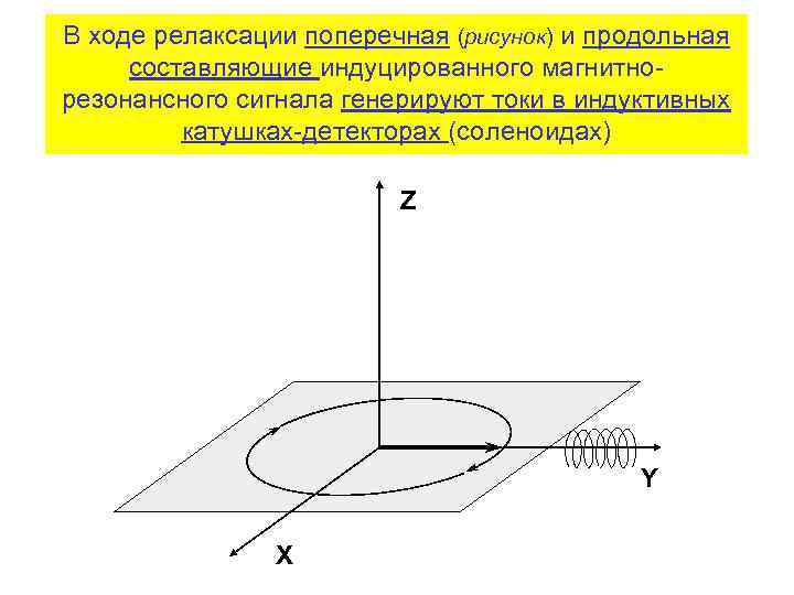 В ходе релаксации поперечная (рисунок) и продольная составляющие индуцированного магнитнорезонансного сигнала генерируют токи в