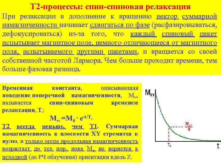 T 2 -процессы: спин-спиновая релаксация При релаксации в дополнение к вращению вектор суммарной намагниченности