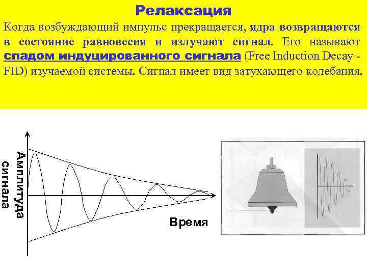 Релаксация Когда возбуждающий импульс прекращается, ядра возвращаются в состояние равновесия и излучают сигнал. Его