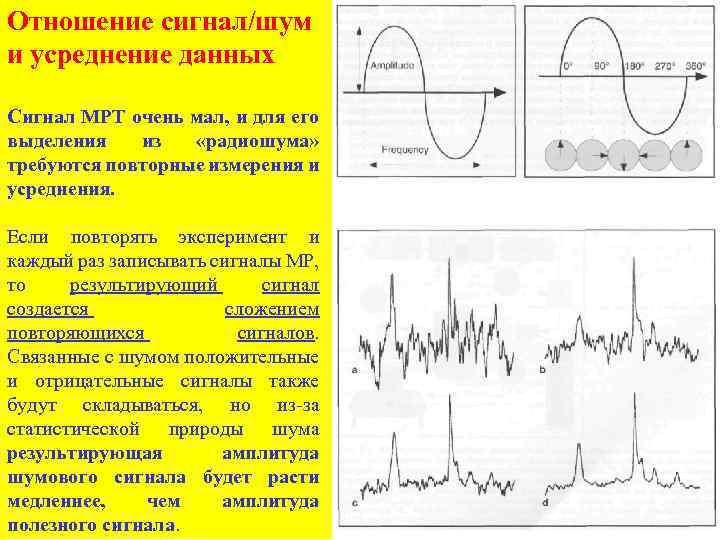 Отношение сигнал/шум и усреднение данных Сигнал МРТ очень мал, и для его выделения из