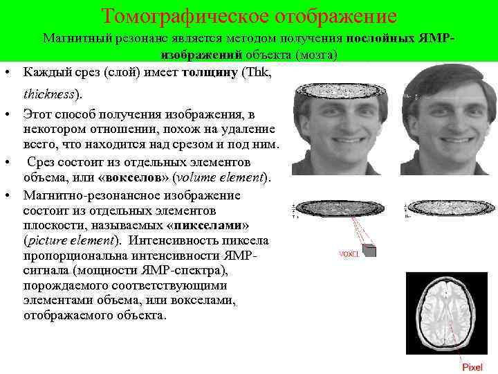 Томографическое отображение Магнитный резонанс является методом получения послойных ЯМРизображений объекта (мозга) • Каждый срез