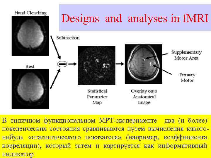 Designs and analyses in f. MRI В типичном функциональном МРТ-эксперименте два (и более) поведенческих