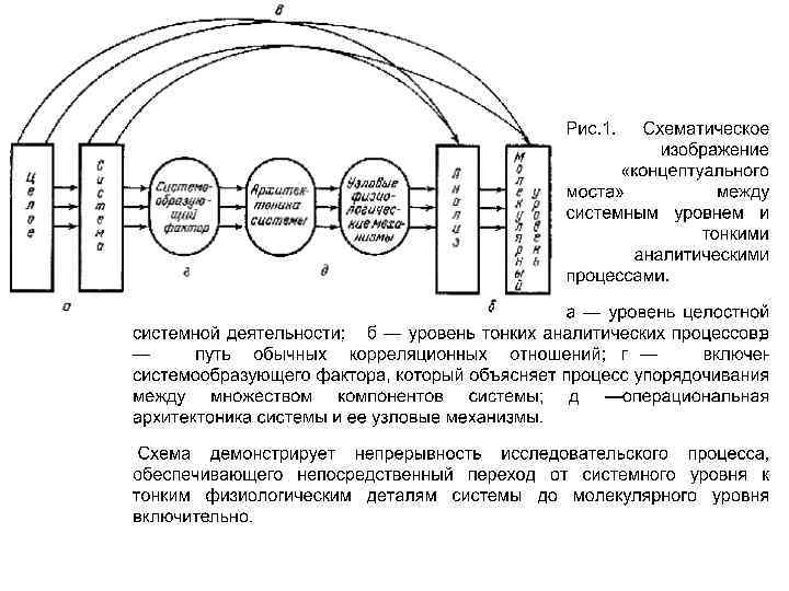 Функциональный механизм