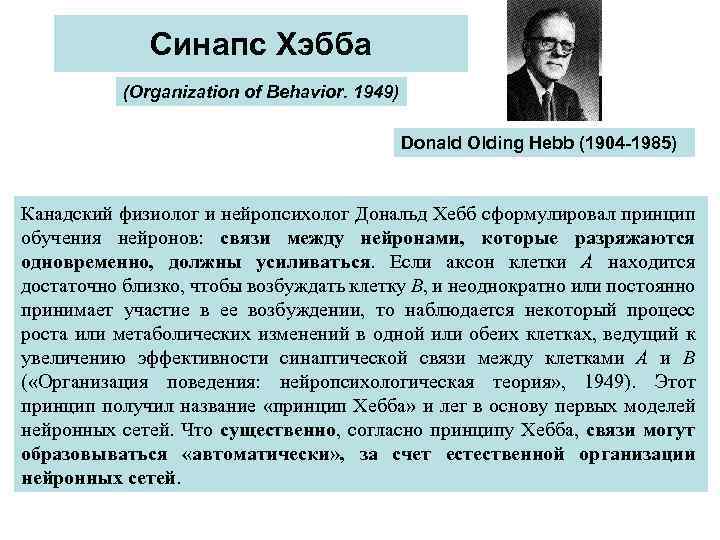 Синапс Хэбба (Organization of Behavior. 1949) Donald Olding Hebb (1904 -1985) Канадский физиолог и