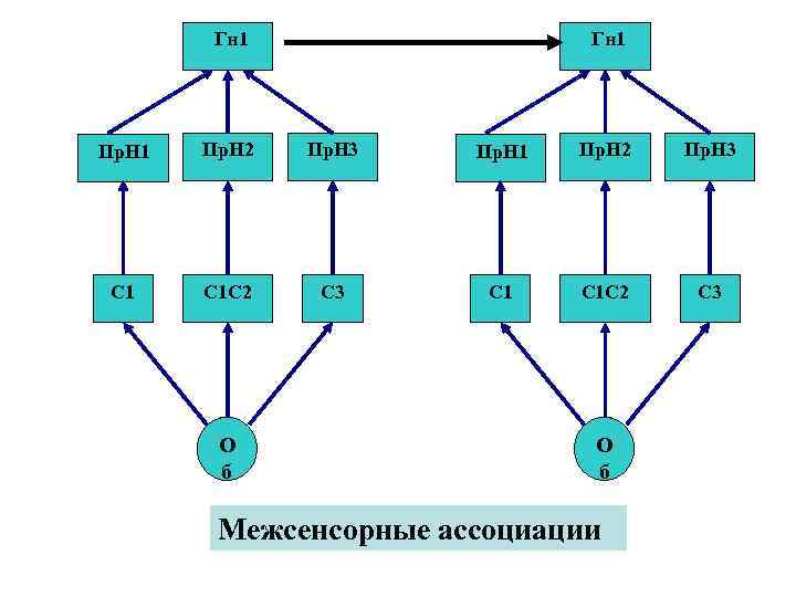 Гн 1 Пр. Н 2 Пр. Н 3 С 1 С 1 С 2