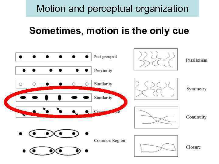 Motion and perceptual organization Sometimes, motion is the only cue 