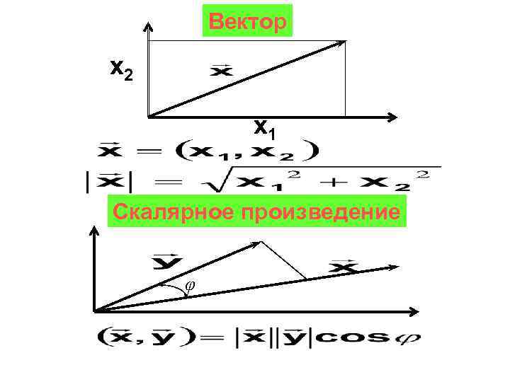 Вектор x 2 x 1 Скалярное произведение φ 