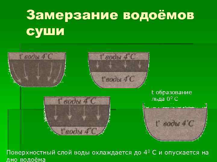 Замерзание водоёмов суши t образование льда 00 С Поверхностный слой воды охлаждается до 40